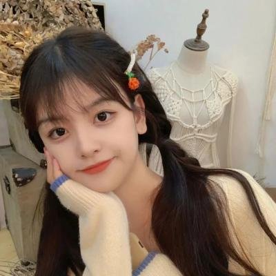 彩岛人生